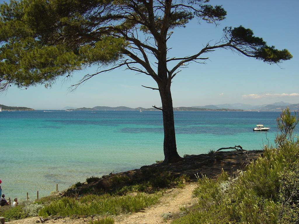 Hotel Ibis Golfe De Saint-Tropez Cogolin Exteriér fotografie